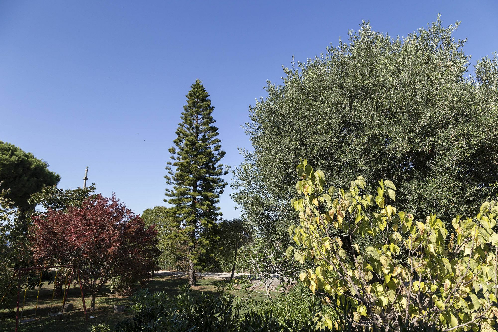 Aparthotel Happy Days Capo Vaticano Exterior foto